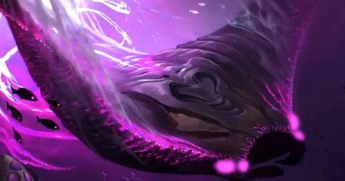 巴西老哥爆料视频全集,揭秘真实巴西生活与风俗